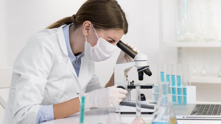 Texto Alternativo: Trece investigadoras del Hospital de La Princesa, reconocidas por el CSIC entre las mejores de España