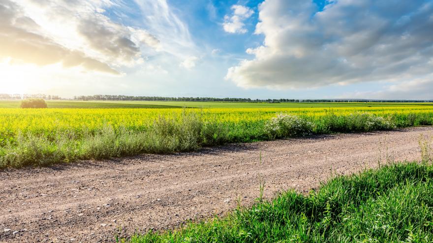 Texto Alternativo: La Comunidad de Madrid da luz verde al mayor plan de conservación de caminos rurales de su historia