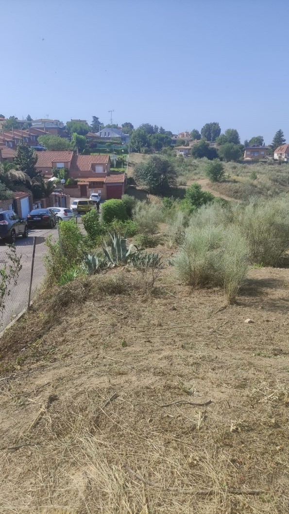 Texto Alternativo: El Gobierno Municipal refuerza los trabajos de desbroce en Parque Coimbra-Guadarrama para prevenir los riesgos de incendios