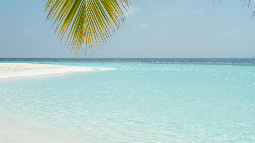 Texto Alternativo: El IRSST ofrece las claves para desconectar durante las vacaciones