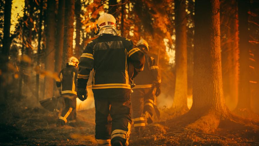 Texto Alternativo: La Comunidad de Madrid se persona en los tribunales por el incendio forestal de Castellón del pasado marzo
