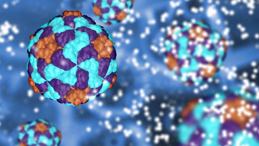 Texto Alternativo: Más de 1.400 pacientes han superado la hepatitis en el Hospital Universitario de La Princesa