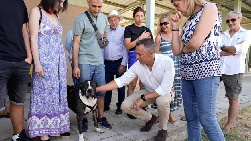 Texto Alternativo: La Comunidad de Madrid reduce en casi 300 los abandonos de perros y gatos en el primer semestre del año