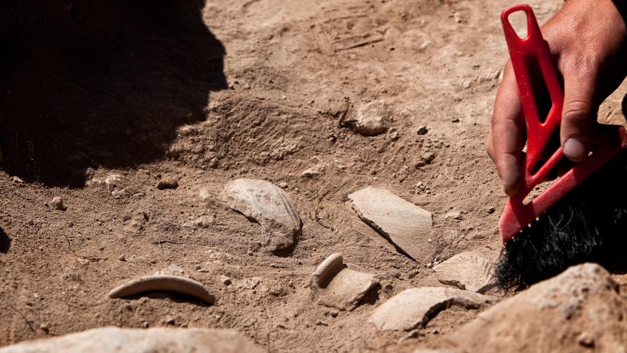 Texto Alternativo: La Comunidad de Madrid acoge a jóvenes de seis países europeos y México en un campo de voluntariado de arqueología durante el verano