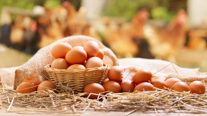 Texto Alternativo: La Comunidad de Madrid pide que se extremen las precauciones con las comidas este verano para evitar intoxicaciones alimentarias