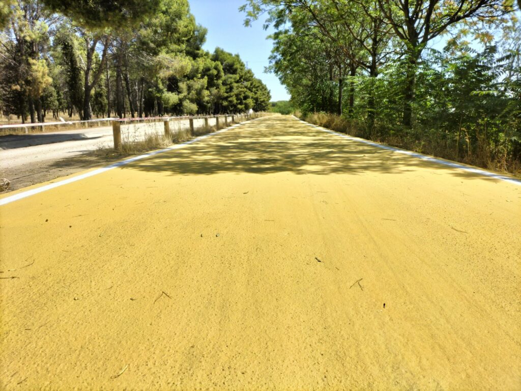 Texto Alternativo: Mañana se abre la vía pecuaria de la Vereda de la Torrecilla tras los trabajos de reparación