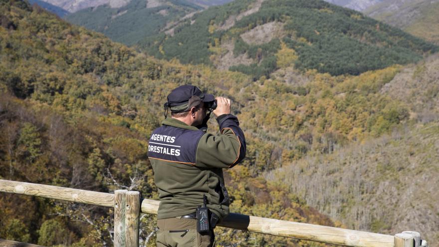 Texto Alternativo: La Comunidad de Madrid invierte más de medio millón de euros en la Central de Comunicaciones del Cuerpo de Agentes Forestales