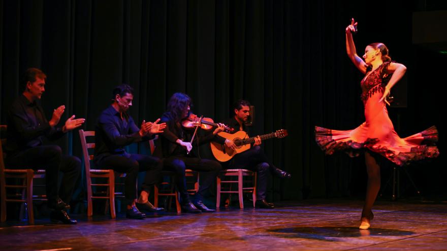 Texto Alternativo: La Comunidad de Madrid la Comunidad de Madrid presenta la 18 edición del Festival Suma Flamenca con propuestas abiertas a la creación y la reelaboración del flamenco clásico