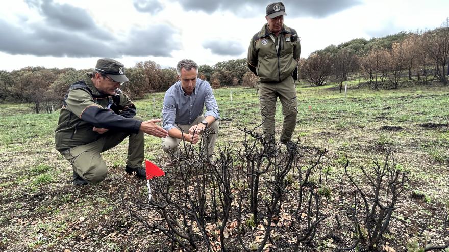 Texto Alternativo: La Comunidad de Madrid esclareció la causa del 88% de los incendios forestales registrados en la región en 2022