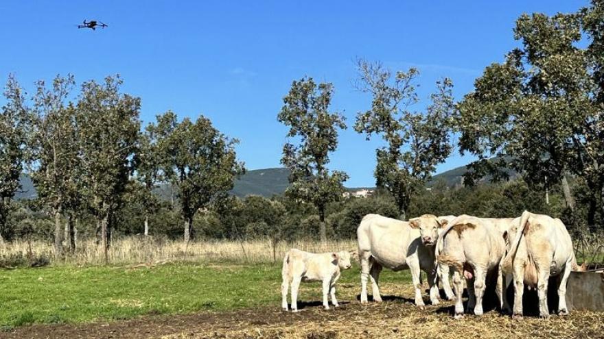 Texto Alternativo: La Comunidad de Madrid ofrece a los ganaderos drones con cámaras térmicas para localizar animales enfermos