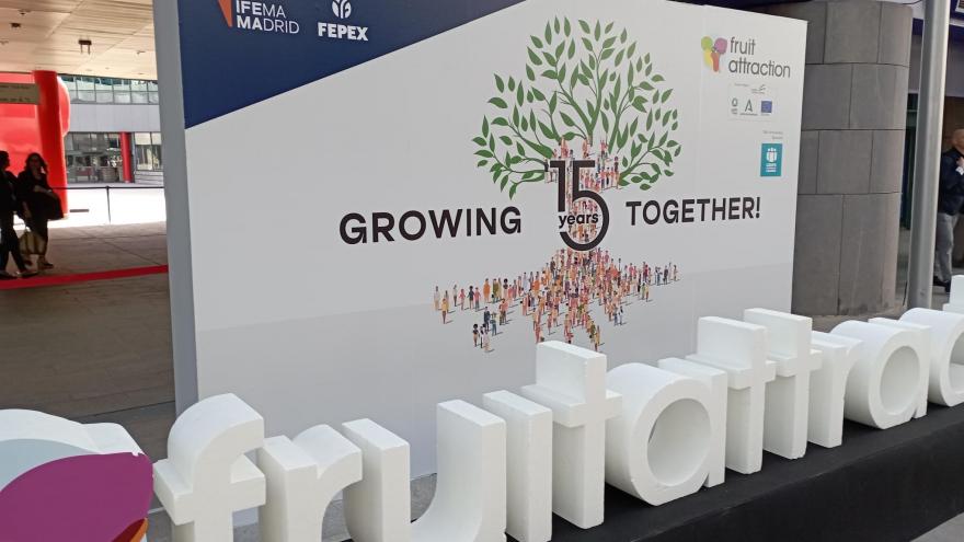 Texto Alternativo: La Comunidad de Madrid, epicentro del comercio de frutas y hortalizas