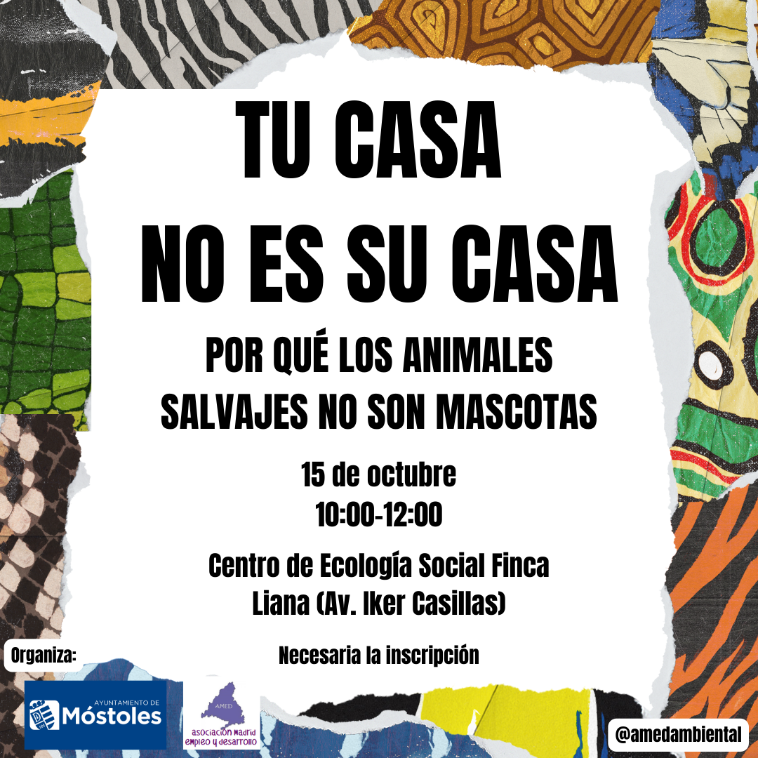 Texto Alternativo: Móstoles reflexiona sobre la adopción de animales salvajes