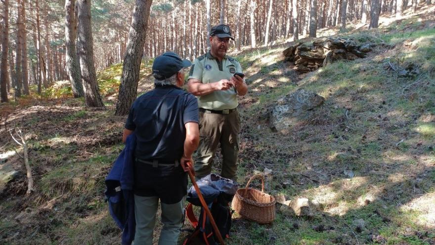 Texto Alternativo: La Comunidad de Madrid recuerda la obligación de cumplir la normativa ambiental en las actividades micológicas