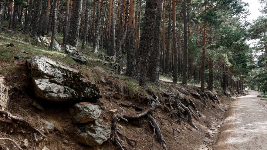 Texto Alternativo: La Comunidad de Madrid finalizará en 2024 el trazado del corredor medioambiental Arco Verde con 200 nuevos kilómetros de zonas naturales