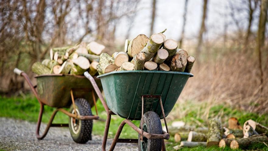 Texto Alternativo: La Comunidad de Madrid elabora recomendaciones para la corta y poda de madera y leñas en montes para aprovechamiento doméstico