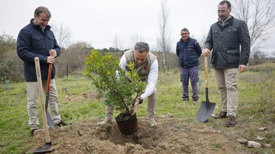 Texto Alternativo: La Comunidad de Madrid planta el árbol 150.000 del corredor medioambiental Arco Verde
