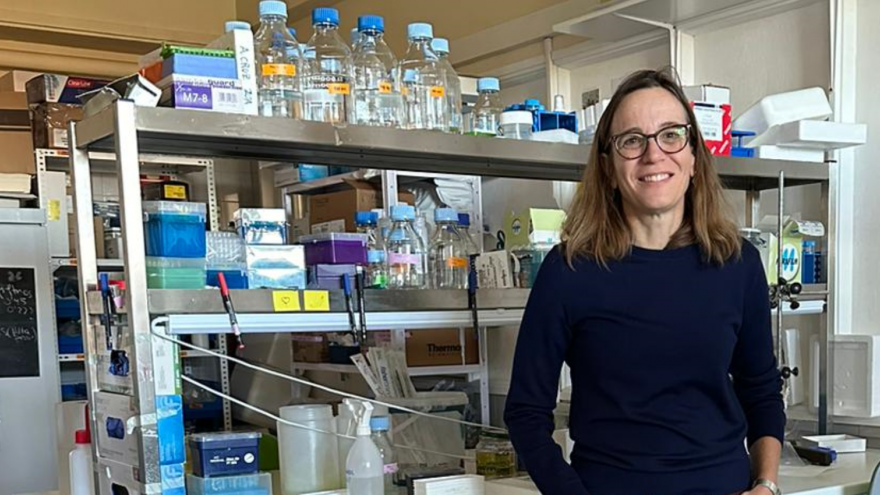 Texto Alternativo: Una investigación liderada por el Hospital 12 de Octubre y la Universidad Complutense demuestra que una terapia combinada resulta eficaz en el tratamiento del linfoma B agresivo