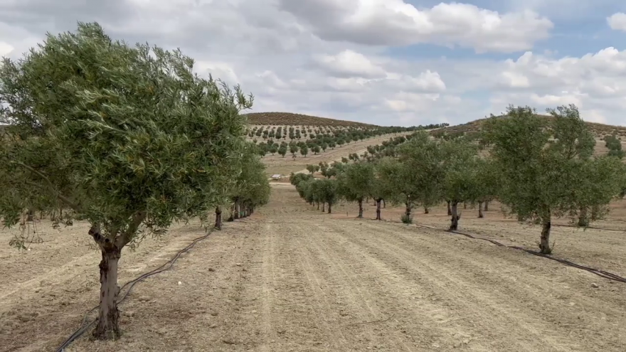 Texto Alternativo: La Comunidad de Madrid realiza el pago del 90% de las ayudas de la reforma de la Política Agraria Común de la UE a más de 2.800 agricultores y ganaderos