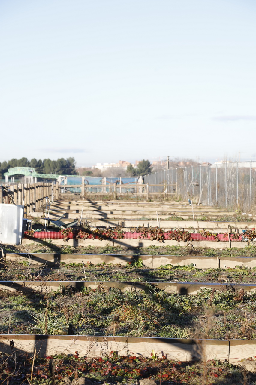 Texto Alternativo: Nueva convocatoria para los huertos urbanos ecológicos de Los Molinos