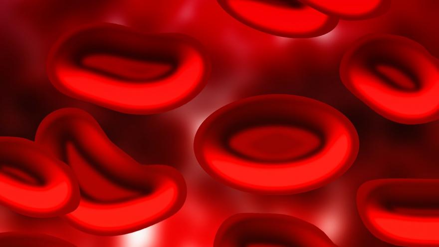 Texto Alternativo: El Hospital Príncipe de Asturias recibe el premio INNOVA-H por el mejor proyecto nacional de innovación en Hematología