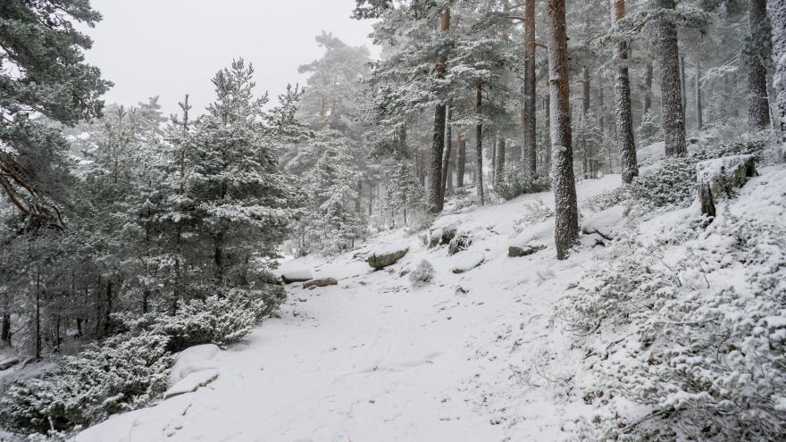 Texto Alternativo: La Comunidad de Madrid pide prudencia y responsabilidad a los ciudadanos que visiten la sierra este fin de semana
