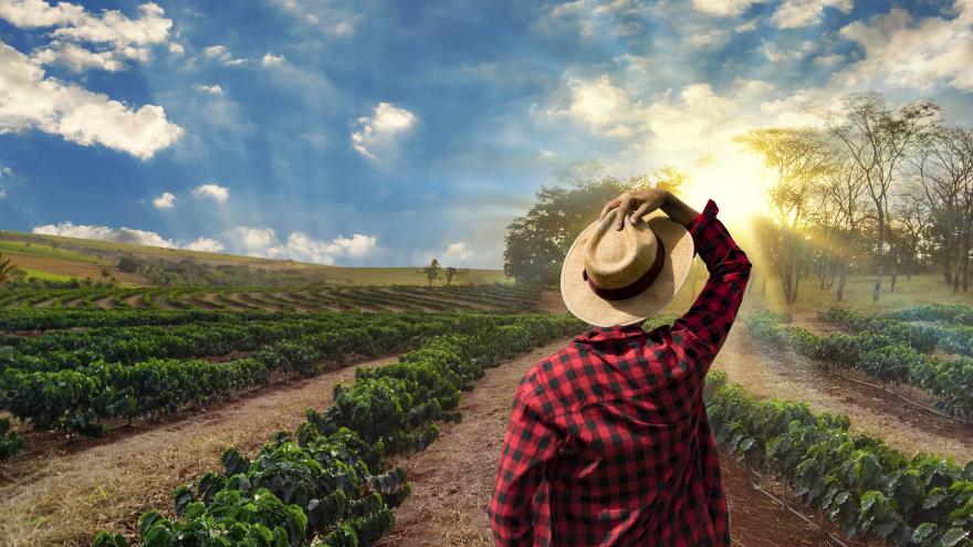Texto Alternativo: La Comunidad de Madrid ayuda con más de 6 millones de euros a agricultores y ganaderos para paliar las consecuencias de la sequía