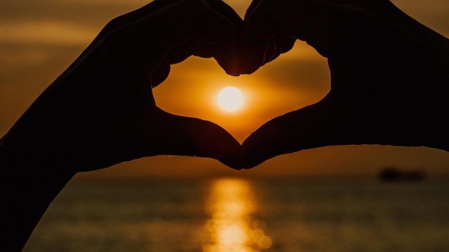 Texto Alternativo: Profesionales del SERMAS recomiendan el refuerzo de la exposición solar y la dieta como vía para cubrir las necesidades de vitamina D en población adulta sana