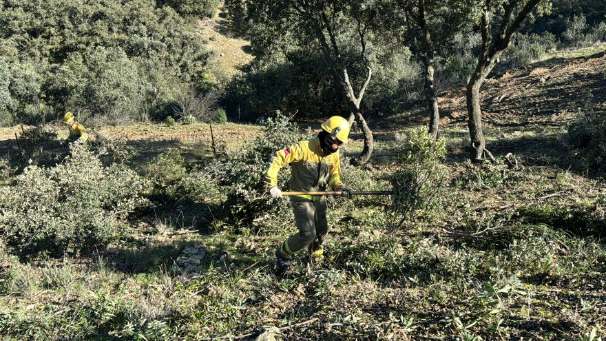 Texto Alternativo: La Comunidad de Madrid despliega 25 retenes forestales y más 300 efectivos para la prevención de incendios