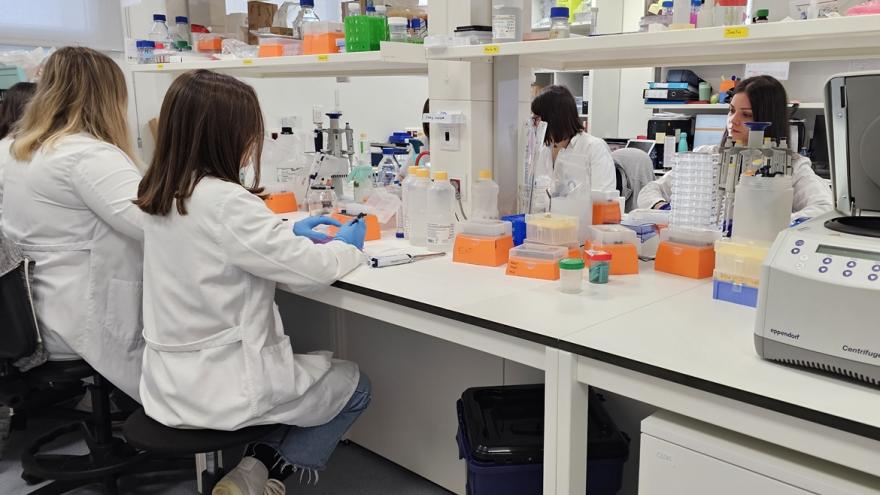 Texto Alternativo: Oncología Médica del Hospital 12 de Octubre celebra 50 años como referente nacional e internacional en la atención clínica del cáncer