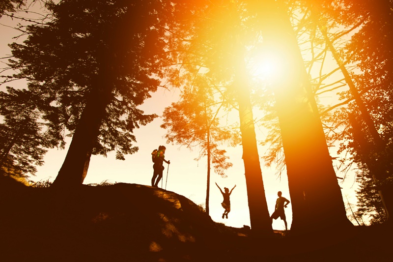 Texto Alternativo: Excursiones, senderismo y actividades al aire libre serán las protagonistas estos meses de marzo y abril en Móstoles