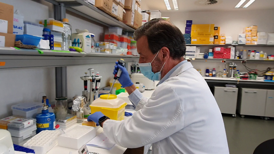 Texto Alternativo: El Hospital 12 de Octubre y el CNIO prueban que una nueva inmunoterapia de células puñal muestra en laboratorio más efectividad que la CAR-T  frente al mieloma múltiple