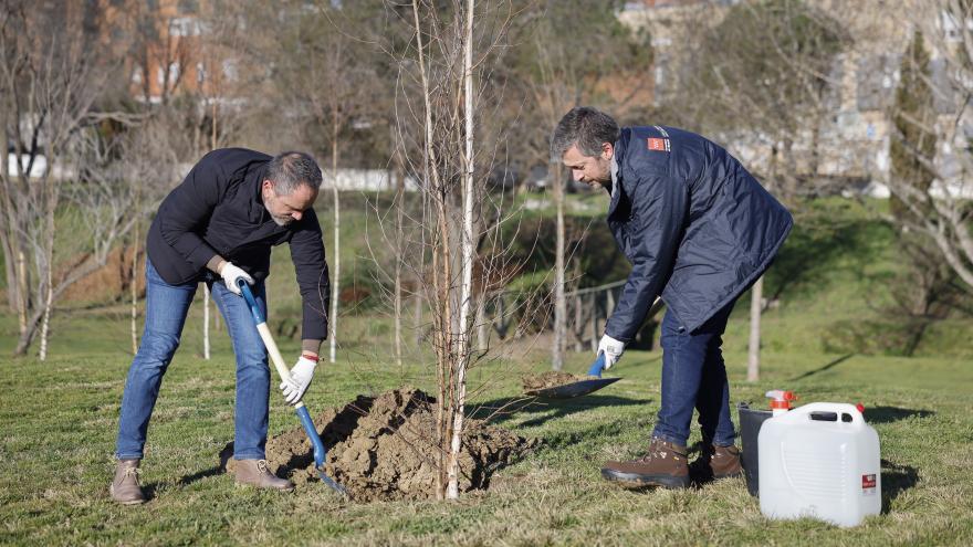Texto Alternativo: La Comunidad de Madrid ha plantado ya cerca de 2.700 árboles en ocho municipios para incrementar la masa forestal y biodiversidad