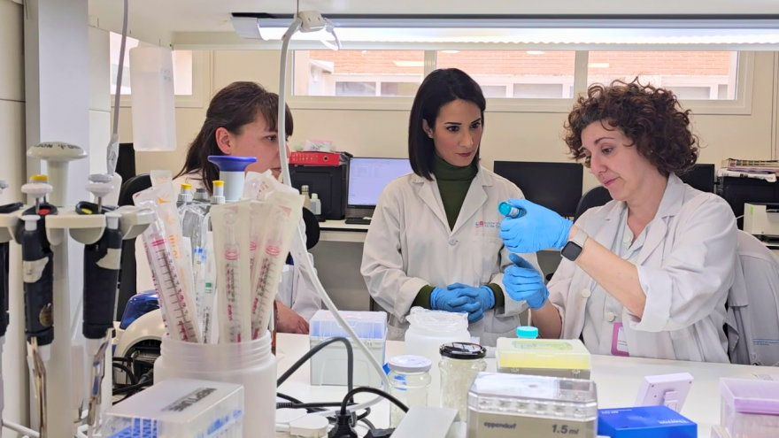 Texto Alternativo: Investigadores del Hospital 12 de Octubre demuestran la agresividad de un tipo de cáncer de próstata para el que existe una alternativa terapéutica utilizada ya en otros tumores
