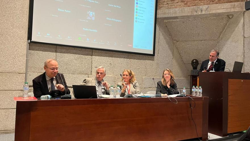 Texto Alternativo: La gerente de Atención Primaria participa en la mesa monográfica del Colegio de Médicos de Madrid sobre el primer nivel asistencial
