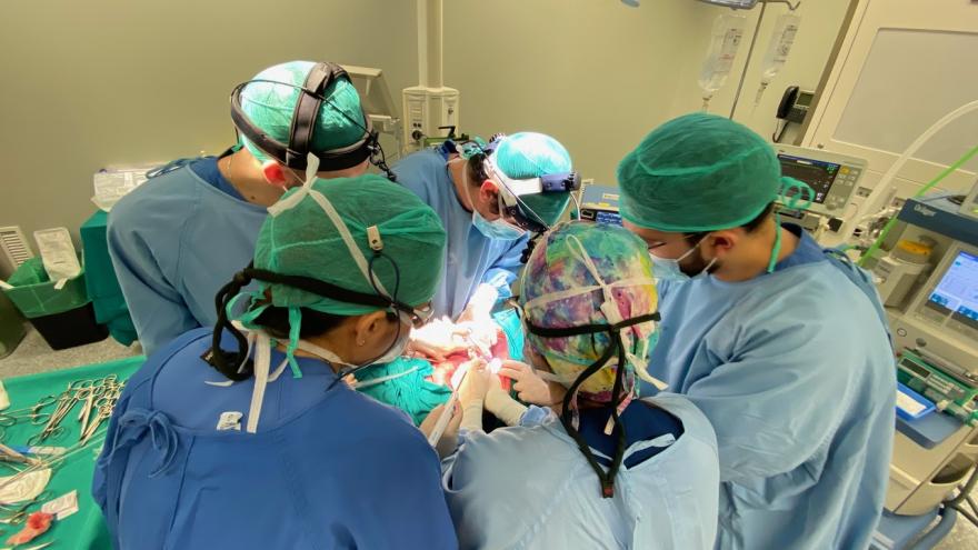 Texto Alternativo: El Hospital Puerta de Hierro forma a profesionales MIR acerca de la partición hepática previa al trasplante