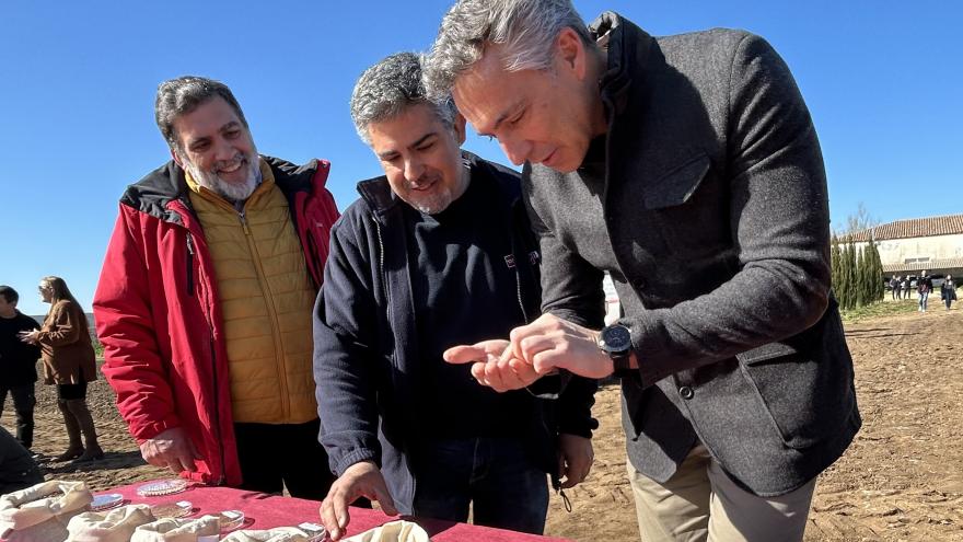 Texto Alternativo: La Comunidad de Madrid estudia nuevos cultivos para combatir la escasez de lluvias y aumentar la rentabilidad de los agricultores