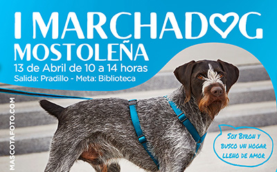 Texto Alternativo: Móstoles celebra su primera Marcha Dog