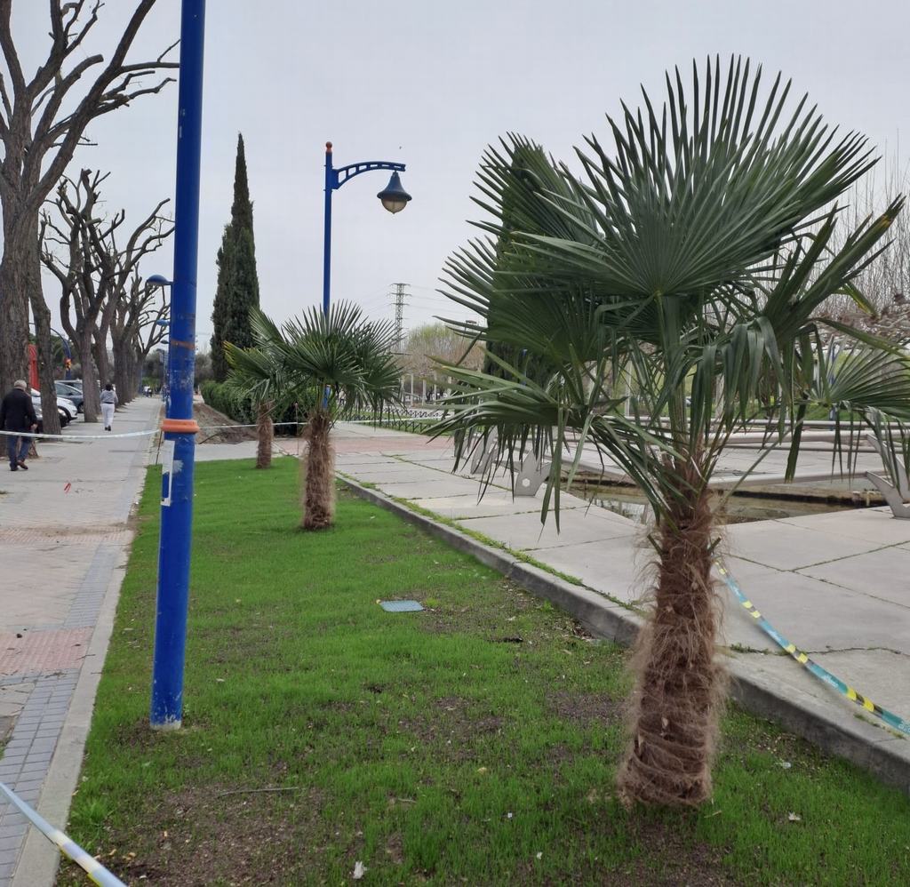 Texto Alternativo: El Ayuntamiento de Leganés realiza una plantación de cerca de 1.000 árboles y 2.200 arbustos