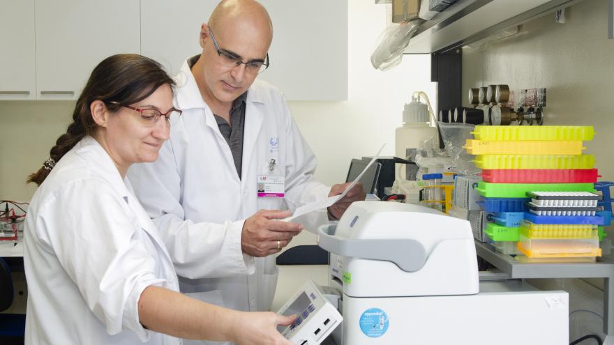 Texto Alternativo: El Hospital Gregorio Marañón halla una nueva indicación de un fármaco que protege frente a los daños del glaucoma