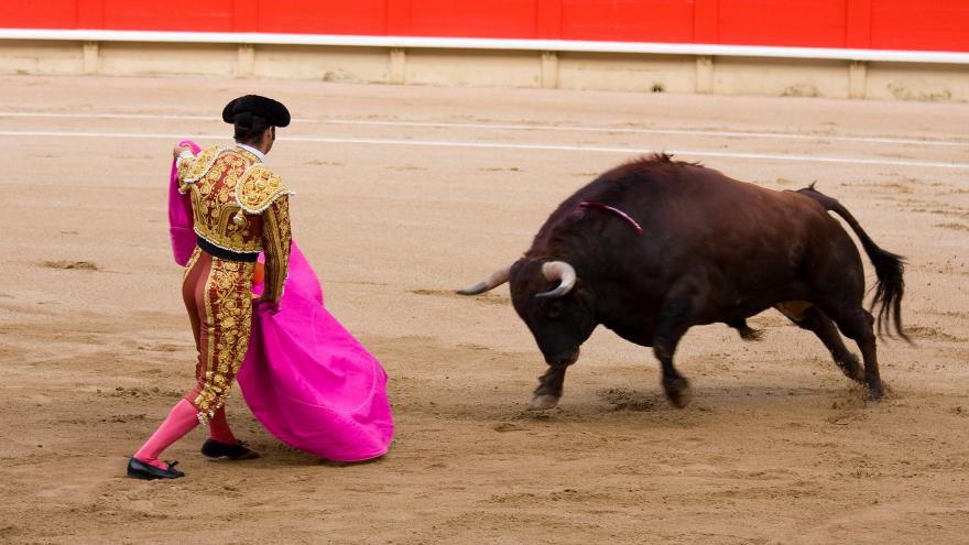 Texto Alternativo: La Comunidad de Madrid prepara un nuevo reglamento taurino para ampliar el catálogo de espectáculos populares