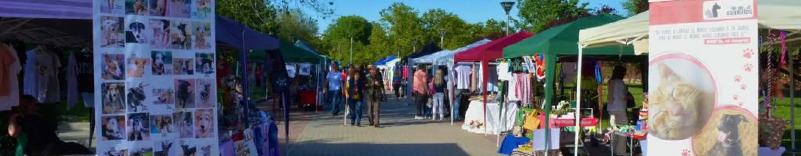 Texto Alternativo: ‘Canicross’, música, títeres, rescate de animales, los premios ‘Miss y Míster Bichejos’… Alcorcón celebra su IV Feria de Adopción