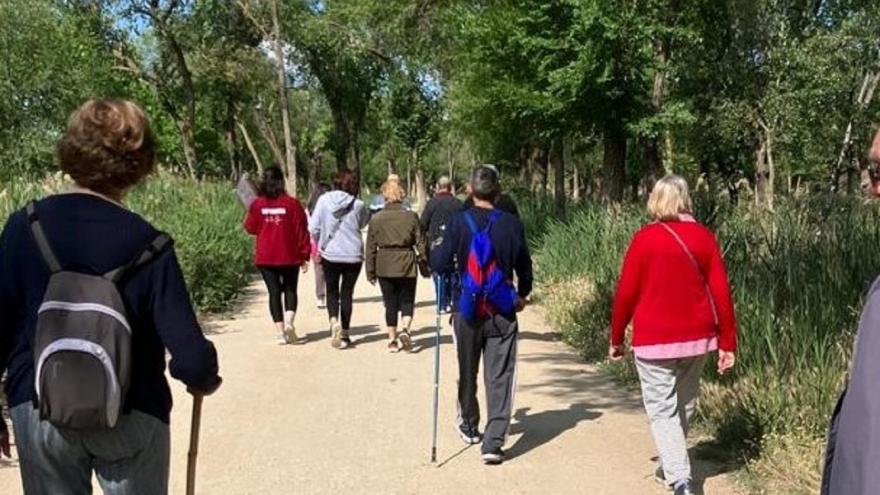 Texto Alternativo: Atención Primaria celebra el domingo 26 de mayo en el Parque Tierno Galván la IV Marcha Saludable con la participación de usuarios y profesionales