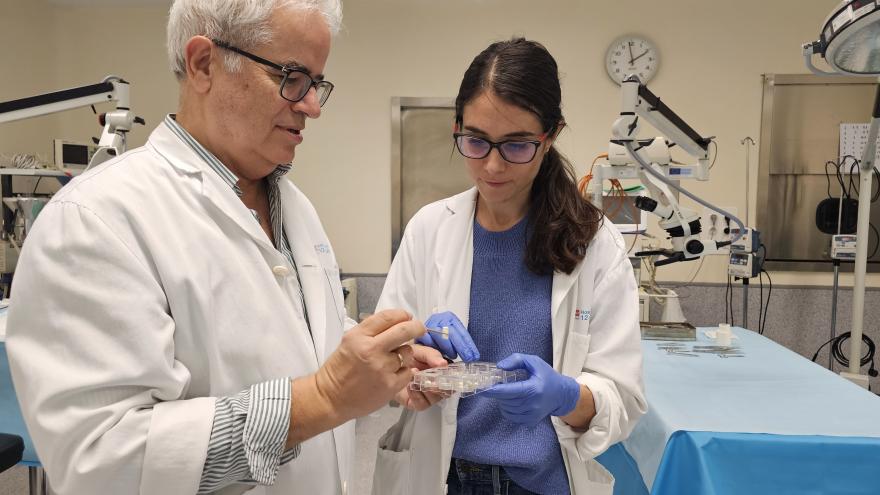 Texto Alternativo: El Hospital 12 de Octubre y la Universidad Complutense de Madrid, cada vez más cerca de un biomaterial que sustituya al autoinjerto de hueso en cirugía