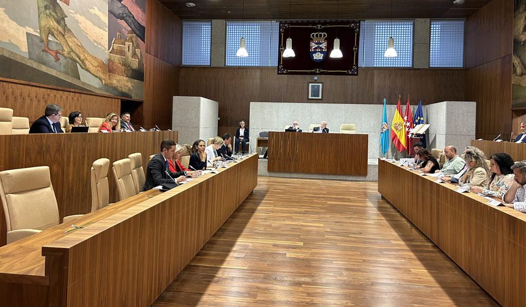Texto Alternativo: El Pleno de Leganés aprueba declarar de interés público la subvención de concesión directa a favor de Cáritas Diocesana
