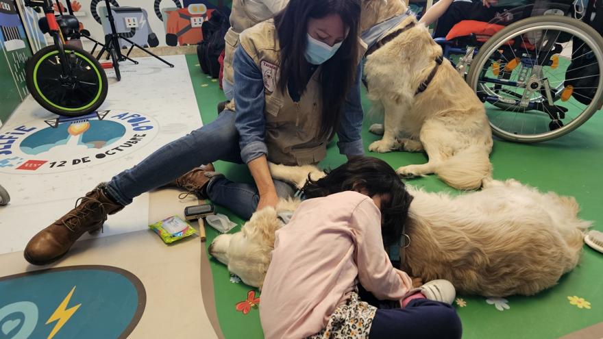 Texto Alternativo: El Hospital 12 de Octubre extiende las intervenciones asistidas con perros a niños con tumores cerebrales para favorecer su rehabilitación cognitiva