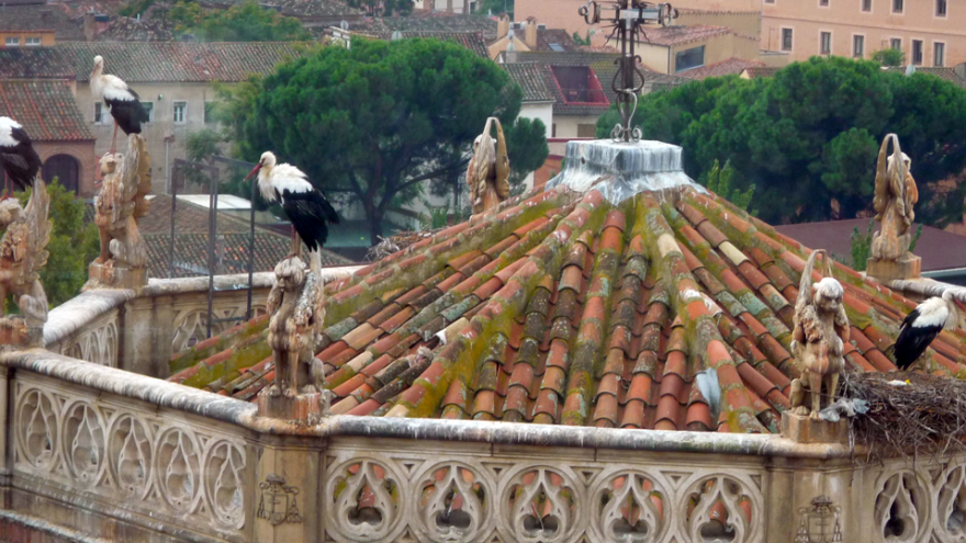 Texto Alternativo: La Comunidad de Madrid aprueba 2 millones de euros para la conservación y restauración del patrimonio histórico