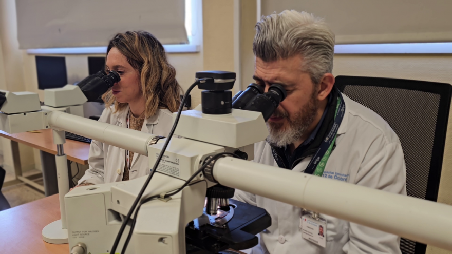 Texto Alternativo: Un estudio del Hospital 12 de Octubre identifica la causa que provoca que un tipo de tumor cerebral maligno sea más agresivo en hombres que en mujeres
