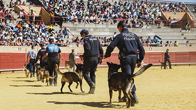 Texto Alternativo: La exhibición de las unidades de guías caninos, en Móstoles, clausura las VI Jornadas policiales y militares de guías caninos internacionales