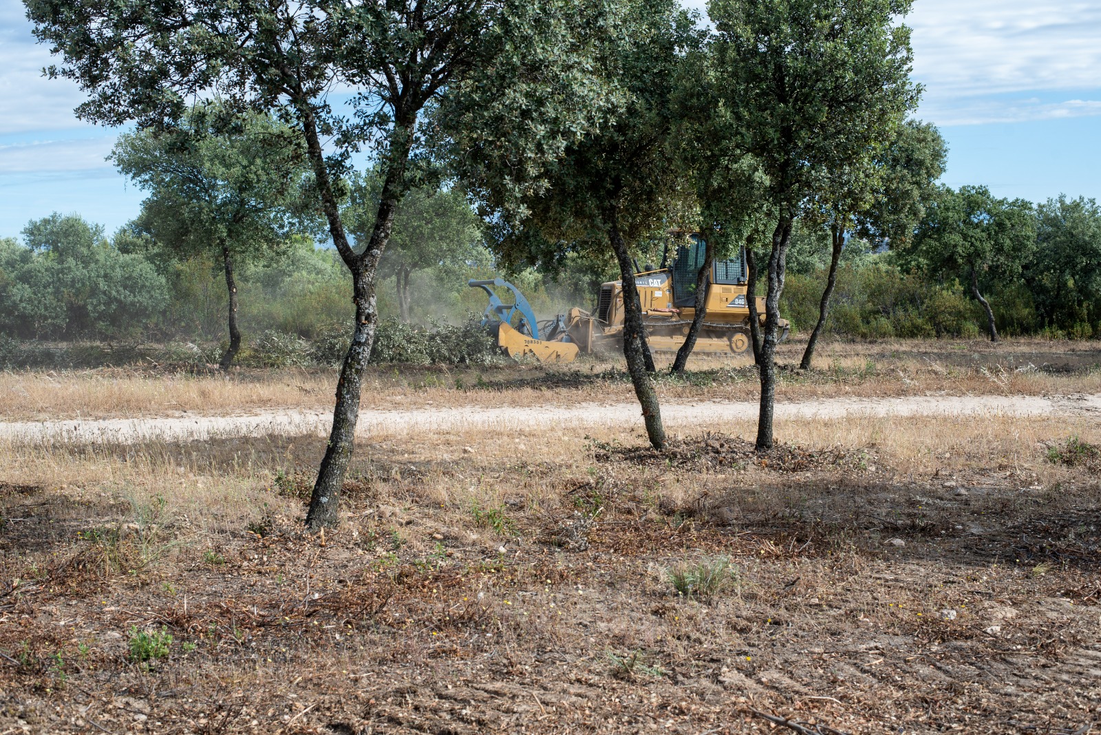 Texto Alternativo: La Comunidad de Madrid ultima en el monte sus trabajos de prevención de incendios