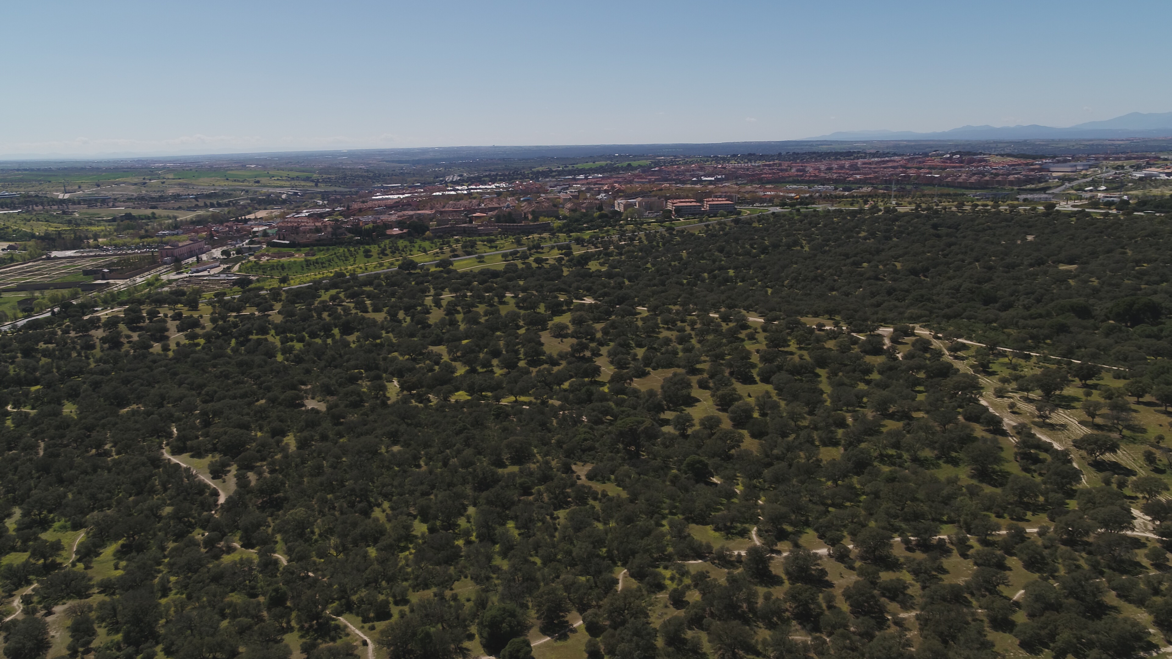 Texto Alternativo: Boadilla destaca el valor del arbolado y de la educación ambiental, en el Día Mundial del Medioambiente